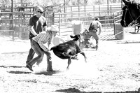 Workin' Cattle May 2017